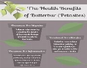 BUTTERBUR EXTRACT bilinamurato 15% Petasins swanson butterbur -- Nutrition & Food Supplement -- Metro Manila, Philippines