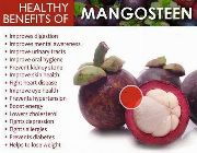 mangosteen bilinamurato mangosteen swanson xanthones mx3 -- Nutrition & Food Supplement -- Metro Manila, Philippines