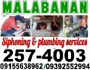 malabnana -- Other Services -- Muntinlupa, Philippines