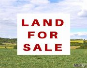 lot for sale, commercial lot for sale, 700sqm lot in divisoria for sale, property for sale, rush sale property -- Land -- Metro Manila, Philippines