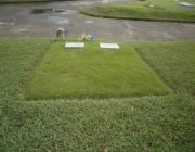 MEMORIAL PARK TWIN LOTS FOR SALE -- Memorial Lot -- Iloilo City, Philippines