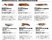 MUSHROOM DEFENSE Reishi Shiitake Maitake mushrooms Beta Glucan Astragalus Dandelion bilinamurato -- Natural & Herbal Medicine -- Metro Manila, Philippines