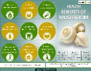 triple mushroom extracts bilinamurato shiitake reishi maitake ganoderma swanson -- Nutrition & Food Supplement -- Metro Manila, Philippines