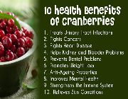 cranberry probiotic bilinamurato inulin prebiotic swanson chicory -- Nutrition & Food Supplement -- Metro Manila, Philippines