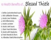 blessed thistle bilinamurato lactation swanson blessed thistle, -- Nutrition & Food Supplement -- Metro Manila, Philippines