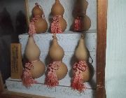 Gourd Sake Bottle Display -- Everything Else -- Marikina, Philippines