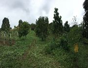 Tanay Rizal Agricultural Farm Land For Sale 600 per sqm -- Farms & Ranches -- Rizal, Philippines