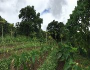 Tanay Rizal Agricultural Farm Land For Sale 600 per sqm -- Farms & Ranches -- Rizal, Philippines