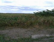 hectares land -- Land -- Tarlac City, Philippines