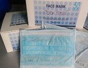 Disposable Face Mask, Safety, Respiratory protection -- All Health and Beauty -- Albay, Philippines