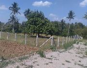 Farm for Sale -- Farms & Ranches -- Cavite City, Philippines