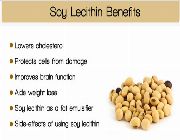 lecithin granules bilinamurato soy lecithin granules puritan -- Nutrition & Food Supplement -- Metro Manila, Philippines