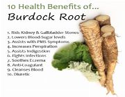 BURDOCK ROOT bilinamurato swanson Burdock -- Nutrition & Food Supplement -- Metro Manila, Philippines