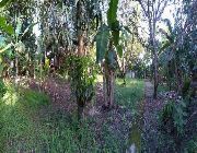 33M 3,300sqm Lot For Sale in Linao Talisay City -- Land -- Talisay, Philippines