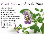 alfalfa puritan bilinamurato natural alfalfa -- Nutrition & Food Supplement -- Metro Manila, Philippines