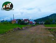 residential lot, for sale, near SM Angono, affordable, flood free, -- Land -- Rizal, Philippines