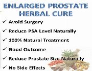 Prostate essentials Prostaid health bilinamurato Saw Palmetto Pygeum Stinging Nettles Root swanson -- Natural & Herbal Medicine -- Metro Manila, Philippines