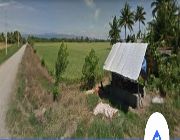 Panabo Lots -- Land & Farm -- Davao del Norte, Philippines