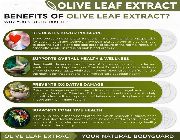 olive leaf extract bilinamurato swanson oleuropein oleia olive leaf standardized -- Natural & Herbal Medicine -- Metro Manila, Philippines