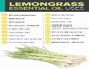 lemongrass oil bilinamurato cymbopogon citratus essential oil piping rock -- Natural & Herbal Medicine -- Metro Manila, Philippines