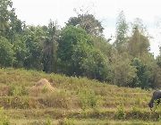 lot for sale -- Land -- Bulacan City, Philippines