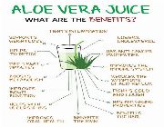 ALOE VERA Juice bilinamurato piping rock aloe vera gel -- Nutrition & Food Supplement -- Metro Manila, Philippines