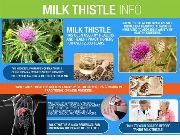 milk thistle seed extract silymarin piping rock bilinamurato milk thistle, -- Nutrition & Food Supplement -- Metro Manila, Philippines