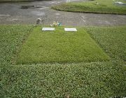 MEMORIAL-PARK-TWIN-LOT -- Memorial Lot -- Iloilo City, Philippines