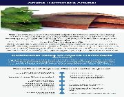 arjuna bark bilinamurato swanson arjuna bark extract, -- Nutrition & Food Supplement -- Metro Manila, Philippines