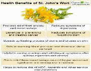 St. John's Wort Extract 0.3% Hypericin bilinamurato piping rock -- Natural & Herbal Medicine -- Metro Manila, Philippines