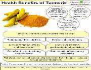 turmeric curcumin bilinamurato puritans luyang dilaw bioperine -- Nutrition & Food Supplement -- Metro Manila, Philippines