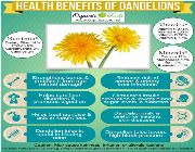 dandelion tea bilinamurato -- Nutrition & Food Supplement -- Metro Manila, Philippines