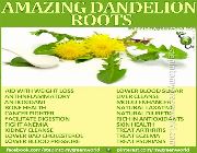dandelion tea bilinamurato -- Nutrition & Food Supplement -- Metro Manila, Philippines