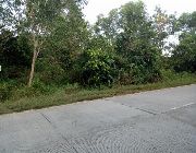lot for sale in Panglao -- Land -- Bohol, Philippines