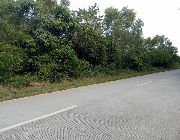 lot for sale in Panglao -- Land -- Bohol, Philippines