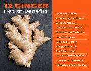 ginger turmeric bilinamurato ginger root swanson -- Nutrition & Food Supplement -- Metro Manila, Philippines