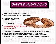 SHIITAKE Mushroom bilinamurato swanson -- Nutrition & Food Supplement -- Metro Manila, Philippines