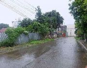7M 700sqm Lot For Sale in Lawaan 2 Talisay City -- Land -- Talisay, Philippines