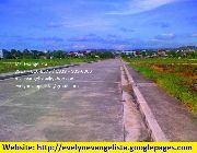 Rizal Technopark highway phase 2d1 2000 lot for sale near SM Taytay -- Land -- Rizal, Philippines