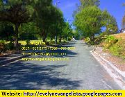 Summer Hills Executive Village lot for sale in Antipolo Sta Lucia Realty -- Land -- Antipolo, Philippines