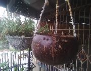 Coconut -- All Home Decor -- Bulacan City, Philippines