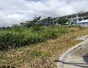 4.2M 358sqm Lot For Sale in Kishanta Subd Lagtang Talisay City -- Land -- Talisay, Philippines