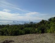 3.534M 1,178sqm Overlooking Lot For Sale in Tuyan Naga Cebu -- Land -- Naga, Philippines