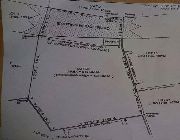 4.653M 423sqm Lot For Sale in Tisa Cebu City -- Land -- Cebu City, Philippines