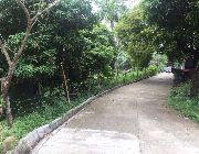 29.9M 5,454sqm Lot For Sale in Busay Cebu City -- House & Lot -- Cebu City, Philippines
