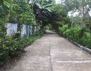 29.9M 5,454sqm Lot For Sale in Busay Cebu City -- House & Lot -- Cebu City, Philippines