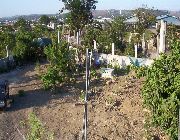 Angono Lot For Sale -- Land -- Rizal, Philippines