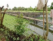 FISHPOND FOR SALE- freshwater  - 4has, 3has and 1.2has -- Land & Farm -- Laguna, Philippines