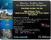 cebu, cebu city, oslob, kawasan, philippines, domestic, booking, forever young travel and tours, online travel agent -- Tour Packages -- Cebu City, Philippines