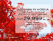 all in tour package, autumn, autumn tour, booking, forever young travel and tours, international, korea, online travel agent -- Tour Packages -- Metro Manila, Philippines